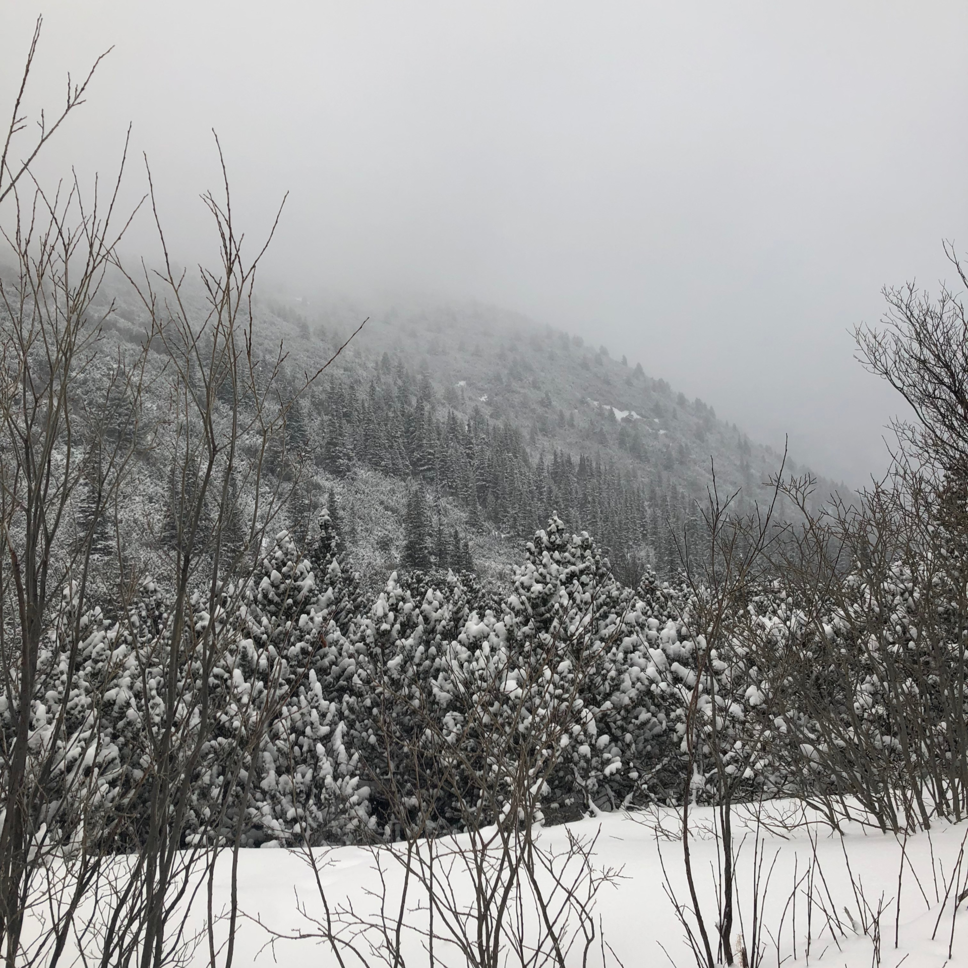 A blizzard on a mountain.